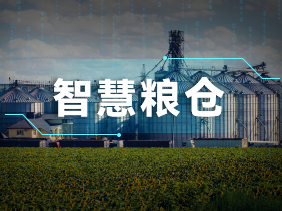 實時監(jiān)測+智能預(yù)警！松柏傳感氣體傳感器助力綠色儲糧